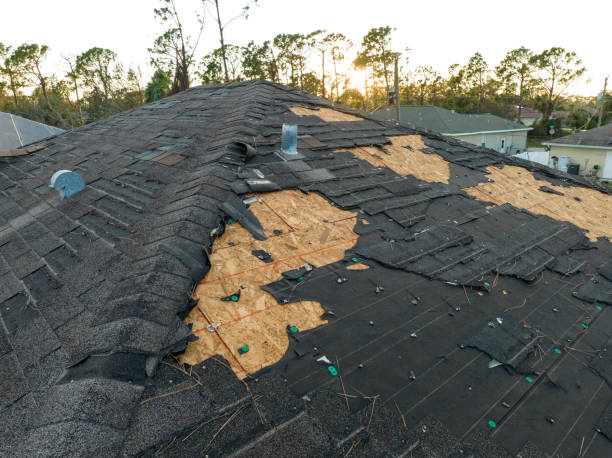 Best Solar Panel Roofing Installation  in Gold Key Lake, PA