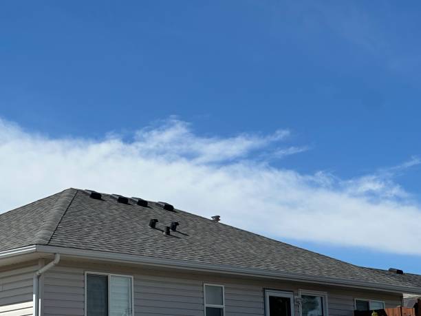 Best Roof Maintenance and Cleaning  in Gold Key Lake, PA